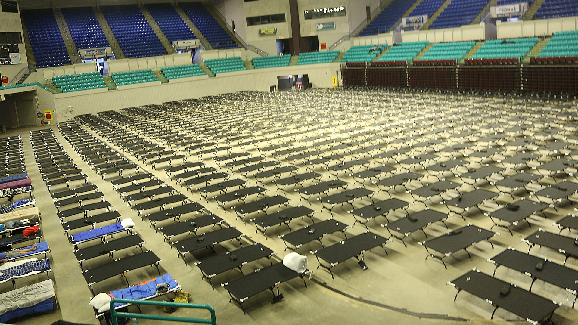 Sea of Beds